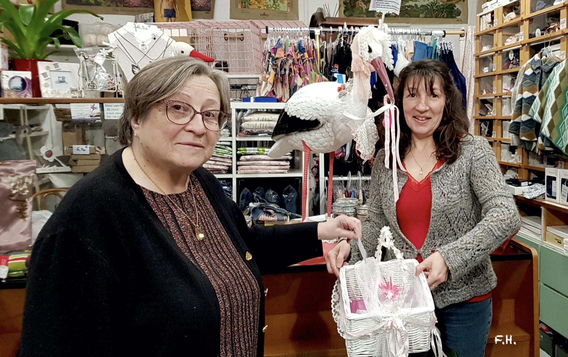 JANINE LAURENCE ET LA CIGOGNE