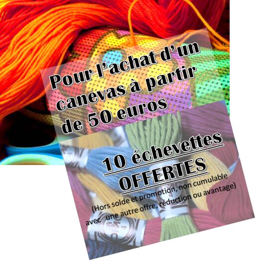 bon plan canevas